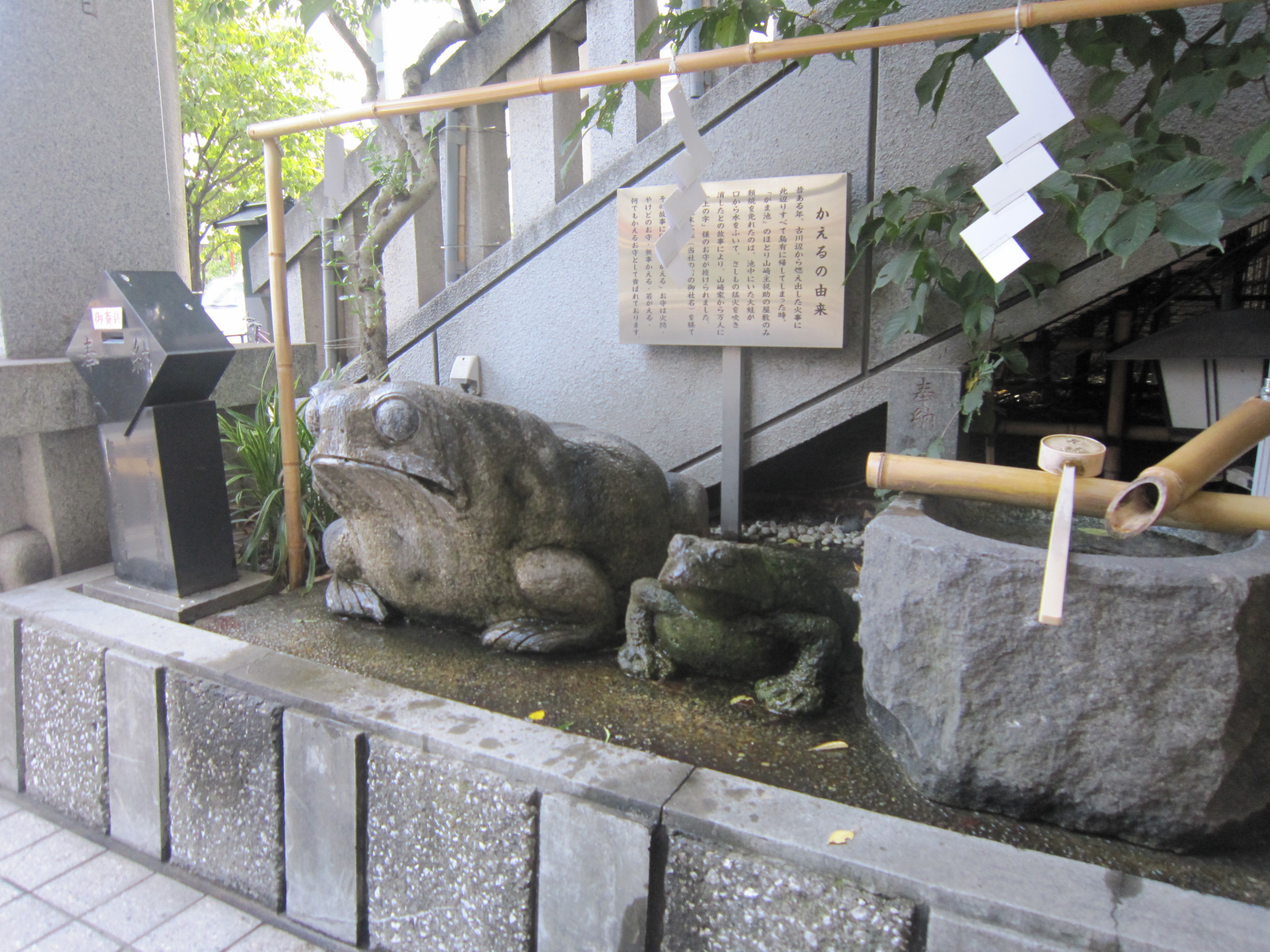十番稲荷神社,がま池