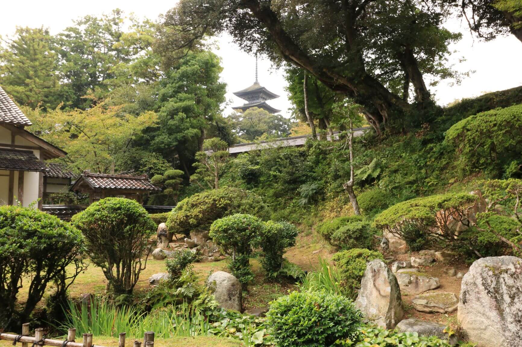 金榮山妙成寺の書院庭園